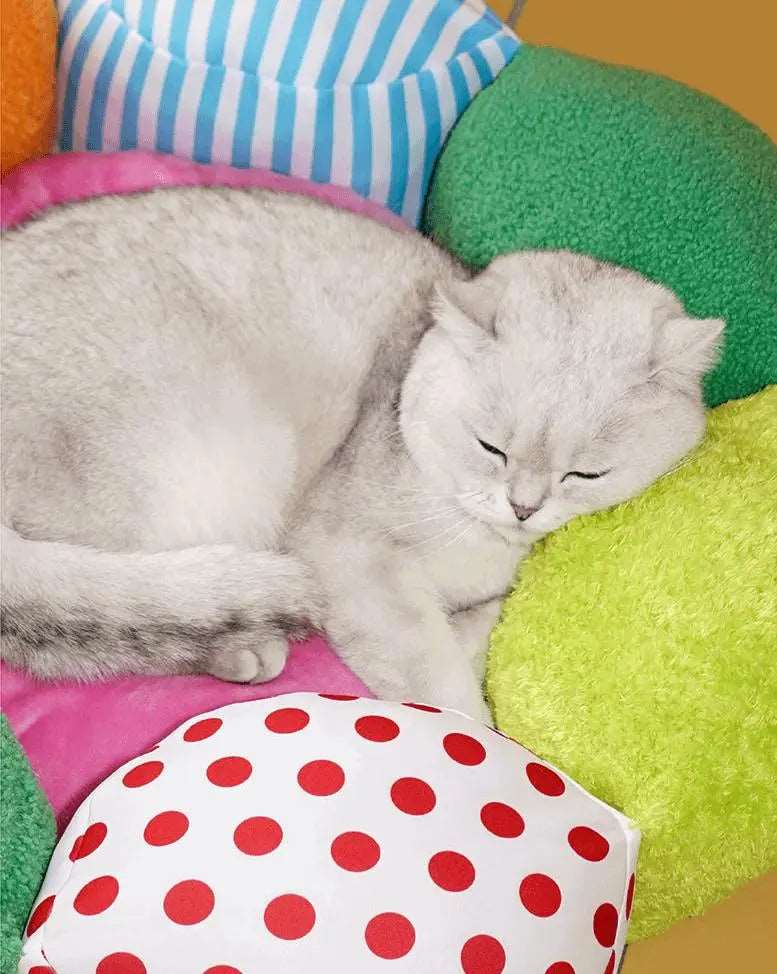 Cozy Caterpillar Pet Bed | Comfort and Calm for Pets